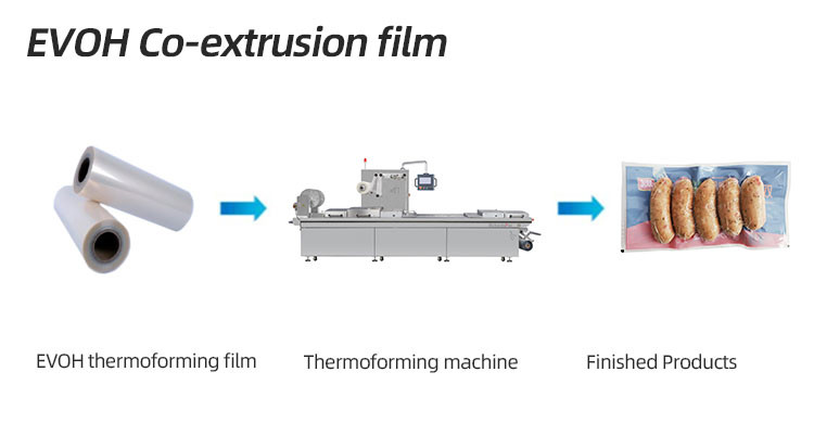 Custom Pa Pe Pp Evoh Food Cling Ldpe Blown Film Plastic Casting Co Extrusion For Thermoforming