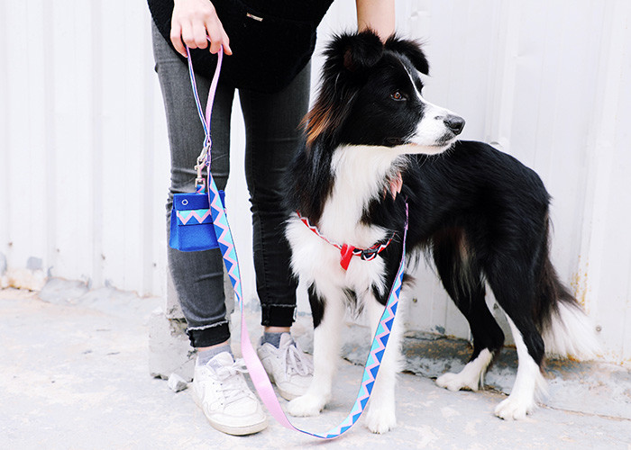 Cloth Dog Poop Bag Holder Custom Portable Waste Dispense Garbage Outdoors