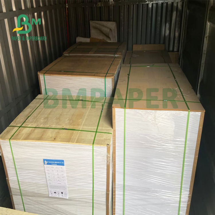 150gsm+20gsm Ploy Coated Cup Stock Paper Durable 710mm X 900mm 