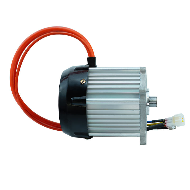 Electric tricycle Motor