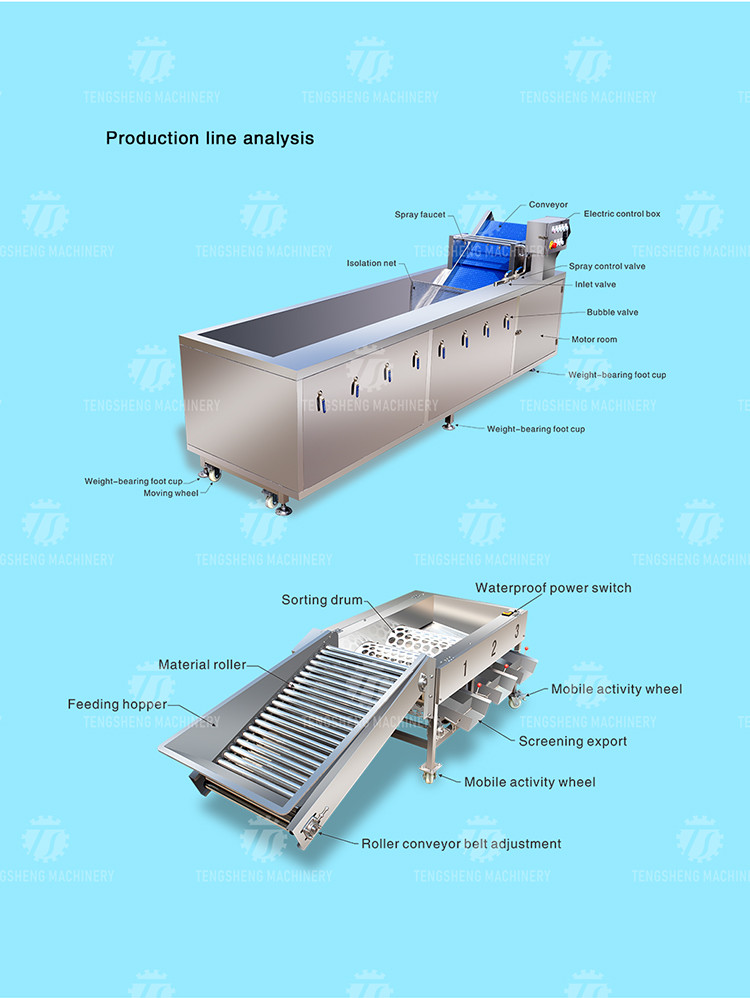 3KW 50HZ Fruit And Vegetable Processing Line Washing Sorting Machine