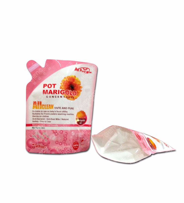 bag with spout shape for laundry detergent