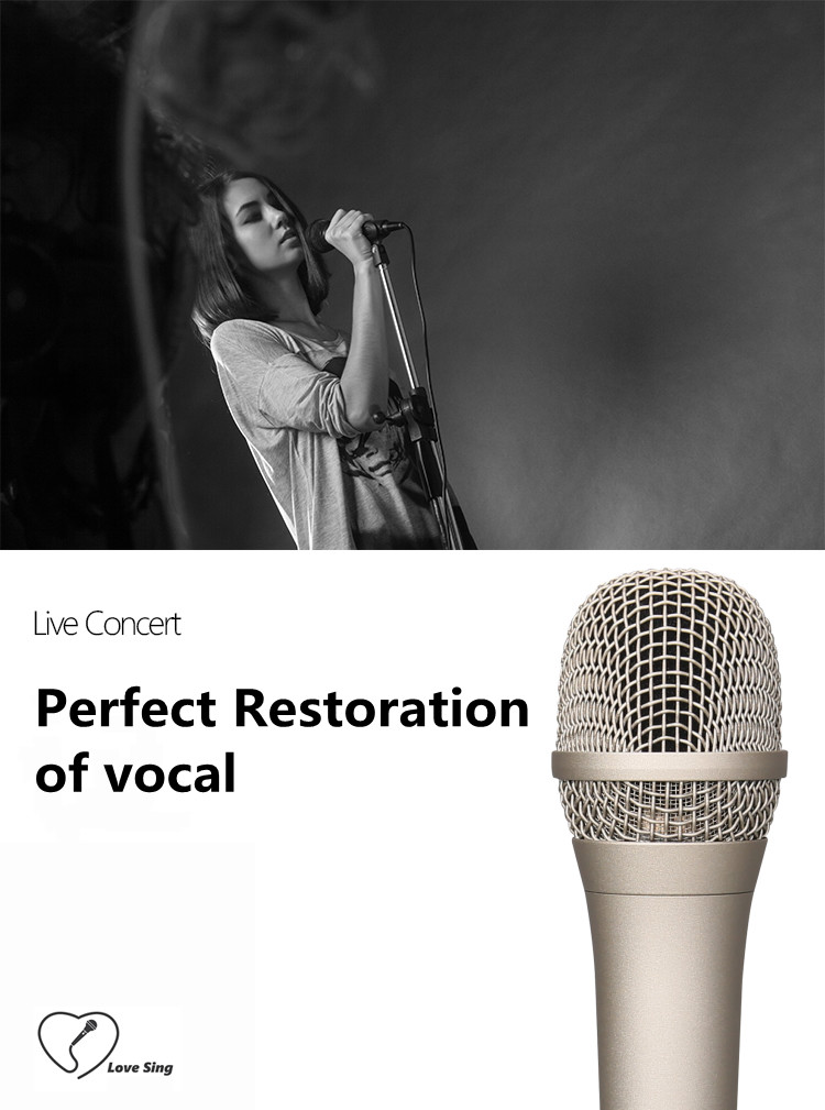 OEM ODM Home Studio Microphone 12mv/PA Karaoke Singing Mic