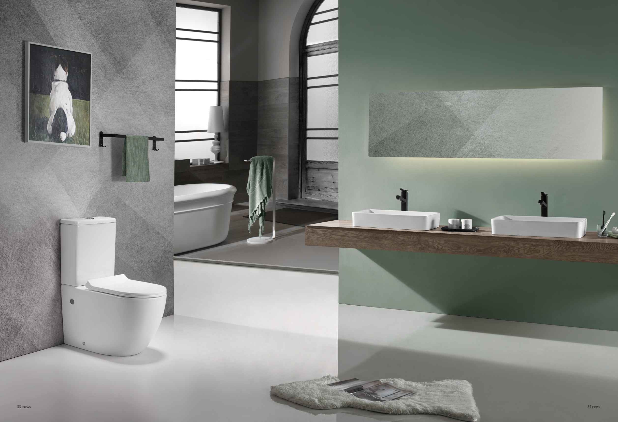North America Modern One Piece Ceramic Siphonic Toilet Dual Flush Floor Mounted White for Bathroom