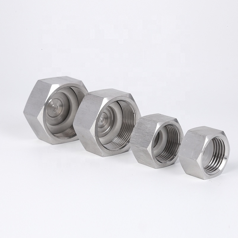 Durable Performance Stainless Steel 304/316 Screwed Hex Cap NPT/BSP Threaded Pipe Fitting in ANSI JIS DIN ASME Standard