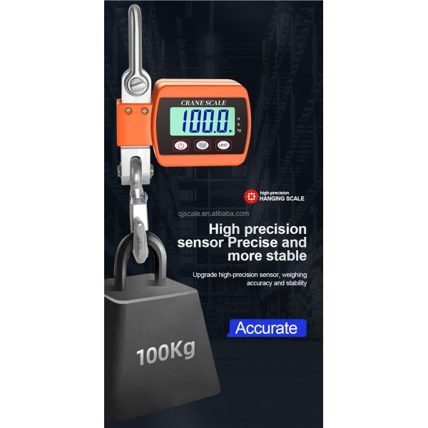 50g Accuracy Electronic Industrial Hanging Scale 300kg Digital Crane Scale with Customized OEM Support