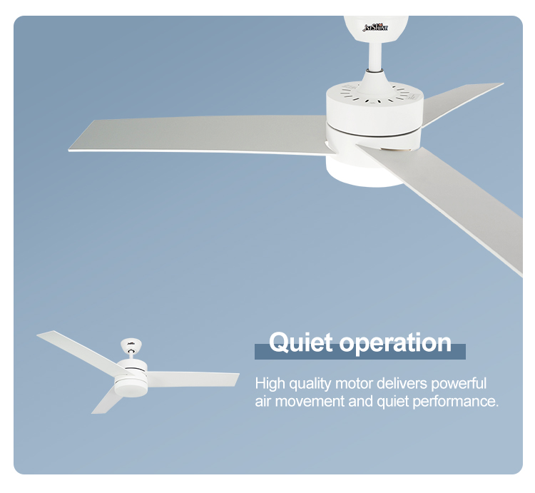 110-240V/50Hz-60Hz 52 Inch Ceiling Fan with Remote Control and OEM Color Wood Blades