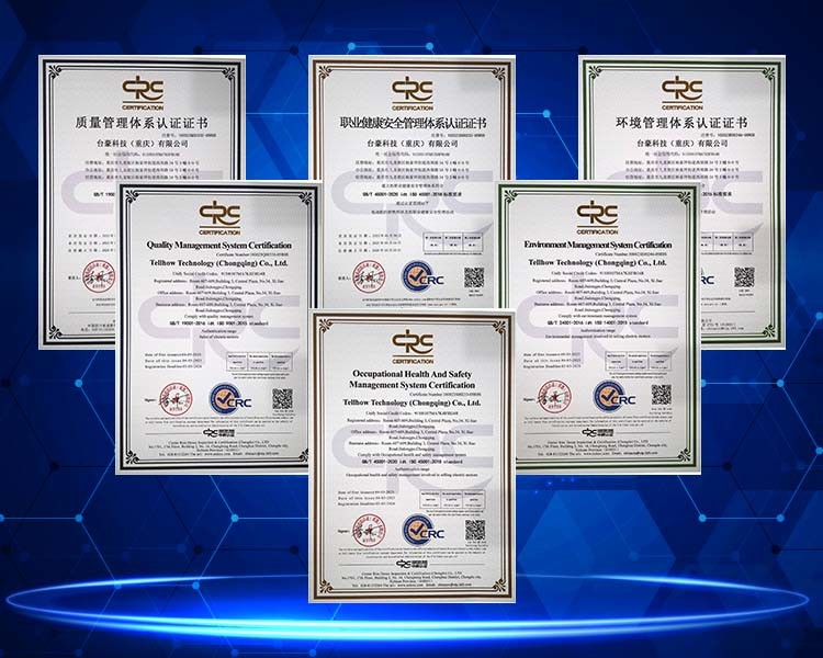 IP55 Rated AC Synchronous Motor with 4 Poles and IEC Standard Mining