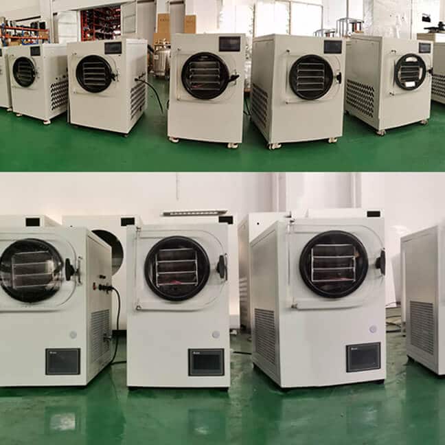 freeze dryer factory