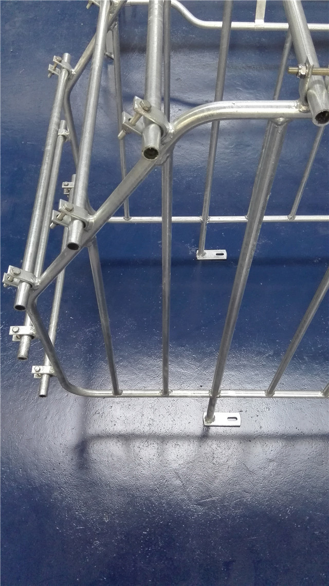 High Strength Steel Sow Gestation Crates / Indoor Guinea Pig Crate Anti Aging