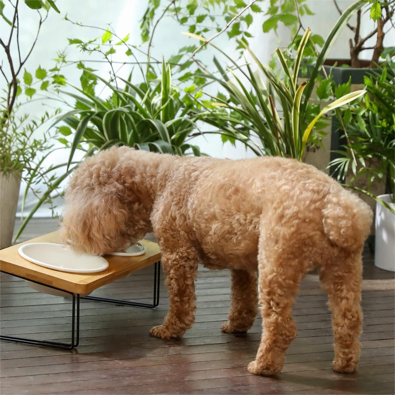 Raised Elevated Ceramic Pet Bowl For Cat Dog Food Water Feeding OEM