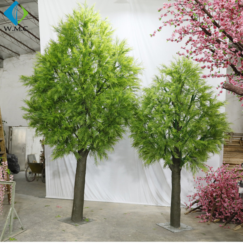 T201035 metasequoia.jpg