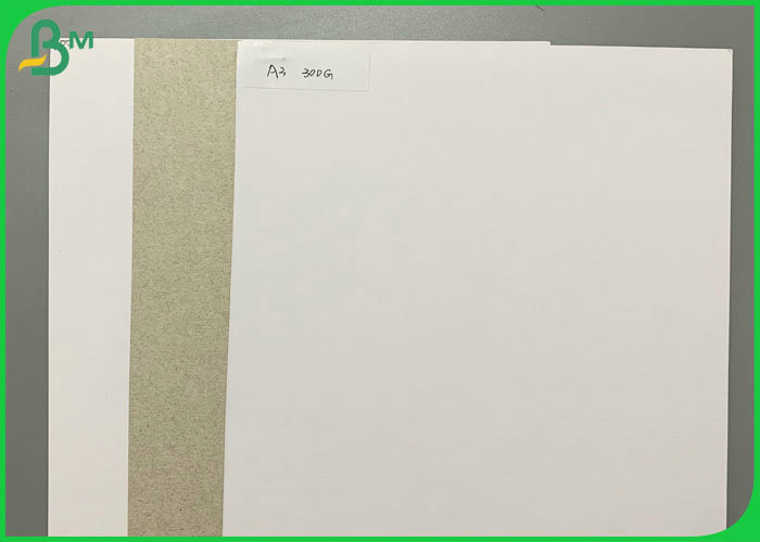 White Coated Grey Back 300g 350g Duplex Board For Box 700 x 1000mm