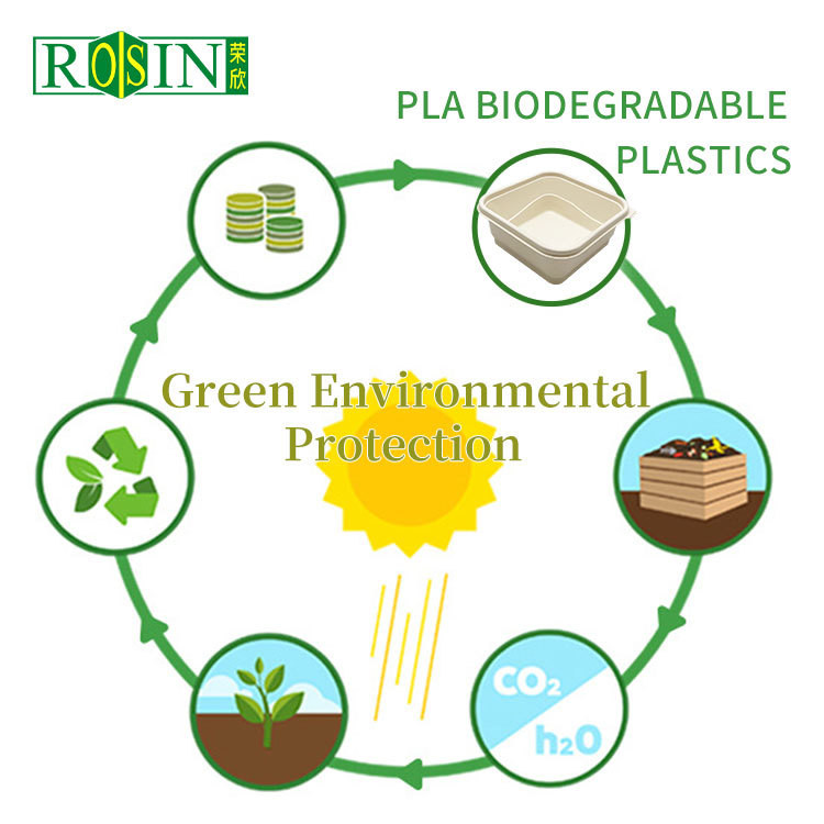 Tableware Biodegradable Take Out Containers Square Disposable With Lids