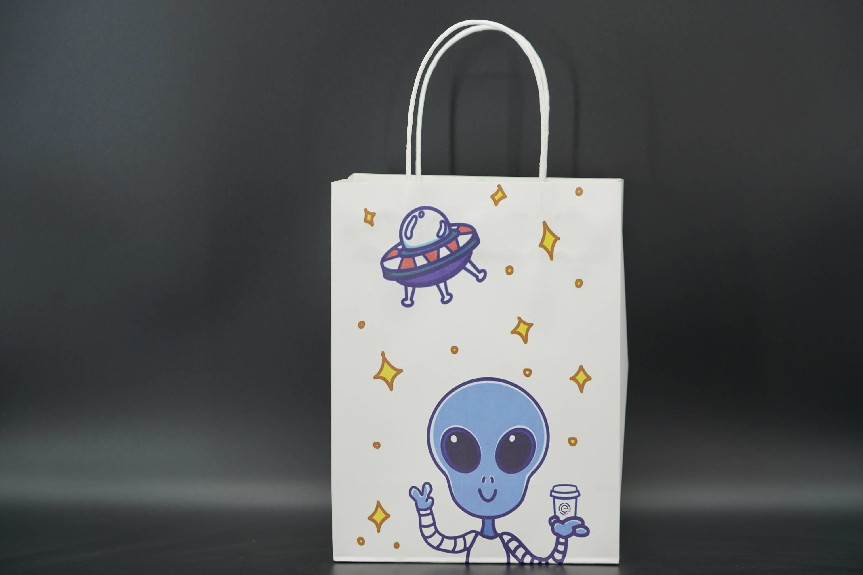 Shopping Custom Printed Paper Bags For Packaging Recycled use
