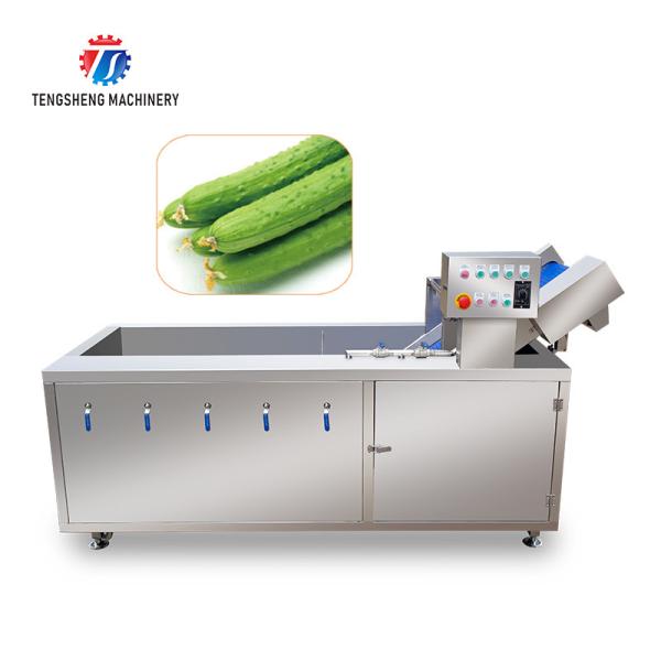185KG Commercial fruit and vegetable washing machine stainless steel ozone