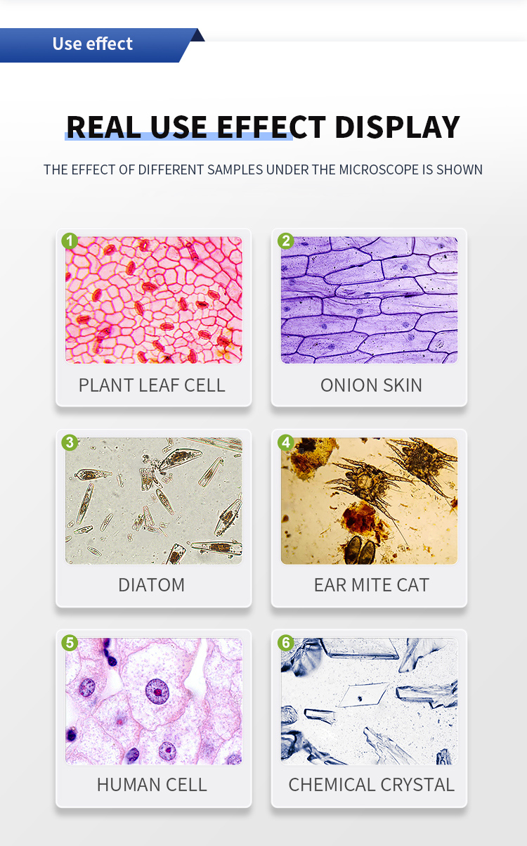 1600x Magnification Professional Triocular Microscope for HD Medical and Laboratory