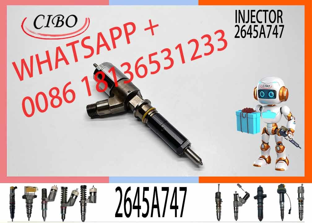 C+C4 C6 fuel injector 295-9130 317-2300 2645A709 295-9130 382-0480 282-0490 320-0677 320-0690 320-0680