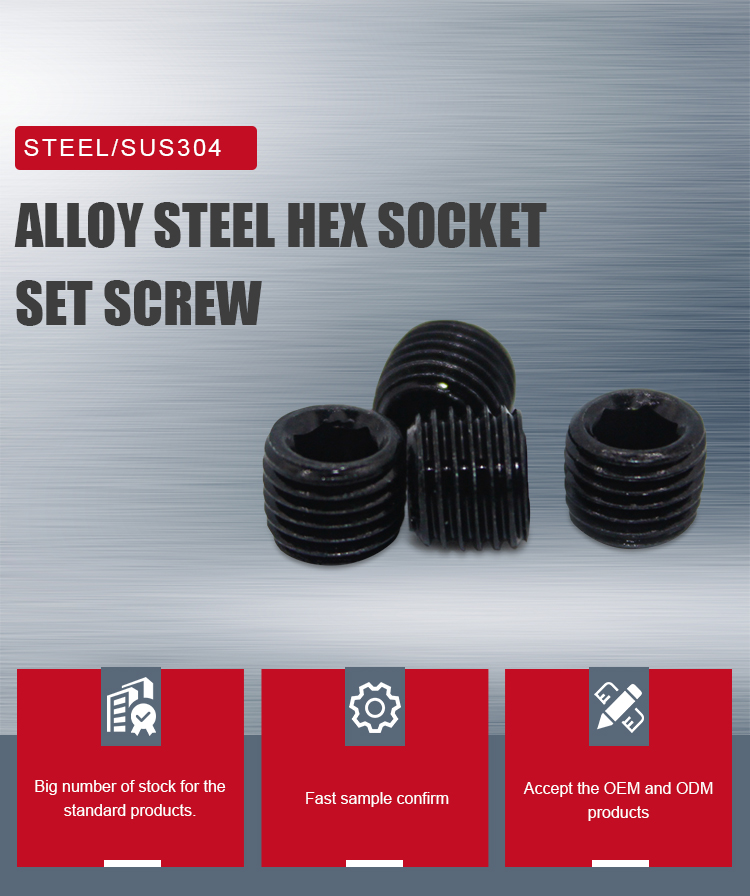 DIN Standard M2 M3 M4 M6 M8 M10 Steel Set Screw with Black Oxide Finish and Hexagon Socket