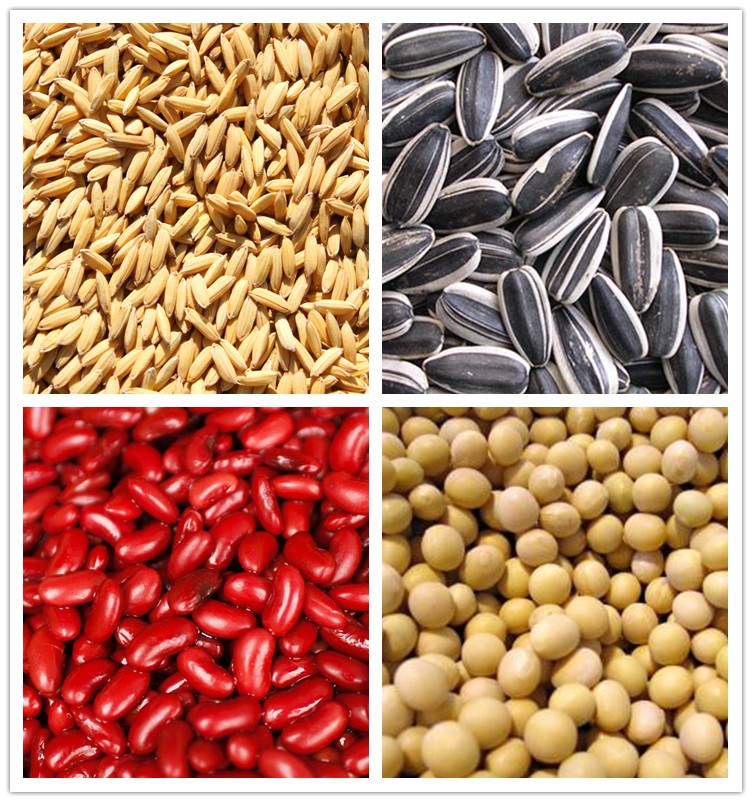 GRAIN