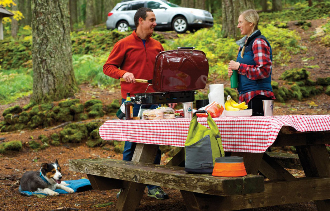 Premium Quality Portable Dog Food Carrier