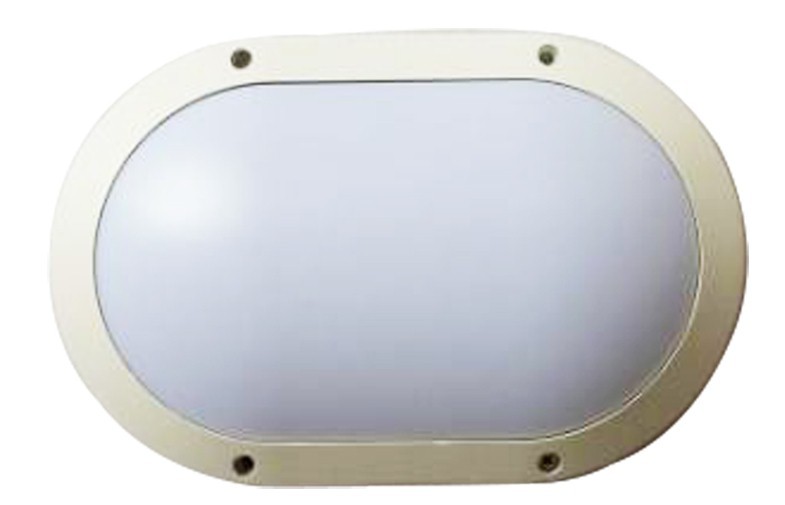 1600 Lumen Outdoor LED Wall Light 63Hz Ra 75 For House / Living Room / Garage