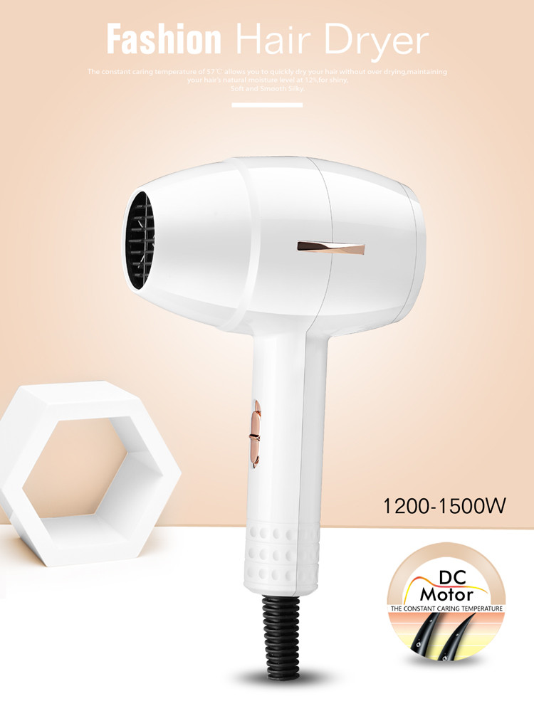 Axial Flow Dual Voltage Electric Hair Dryer For Travel Home Use