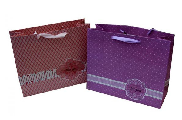 Chinese factory cheap hot sale cosmetic paper bag