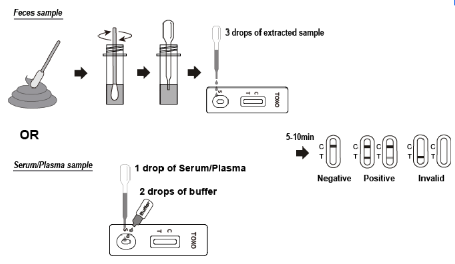 One Step Canine Veterinary Rapid Test Kits , Toxoplasma Gondii Test Kit
