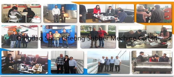 Duplex Rubber Curing Press/Two Host's Rubber O-Ring Plate Vulcanizing Machine