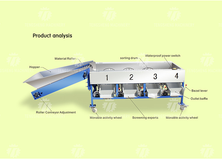 280KG Fruit sorting size picking machine stainless steel material specifications can be determined for sorting potatoes