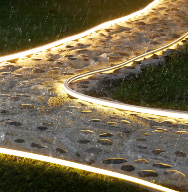 10*20mm Side View Silicone Neon Strip Outdoor Decorative IP67 Led Neon Lights