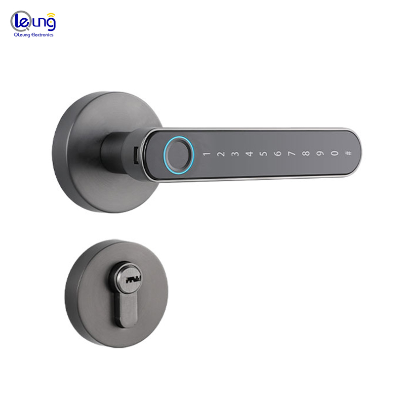 Black Tuya BLE Biometric Fingerprint Door Lock S604L Keyless Entry Door Lock