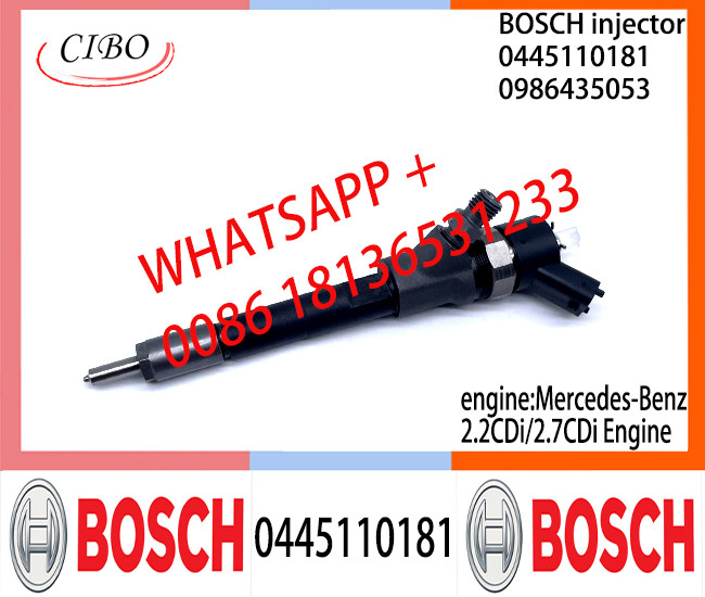 BOSCH injetor 0445110181 0986435053 Common Rail fuel Injector 0445110181 0986435053 for Mercedes-Benz 2.2CDi/2.7CDi