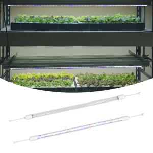 Buy cheap Greenhouse Full Spectrum LED Grow Lights For Indoor Plants With Daisy Chain product