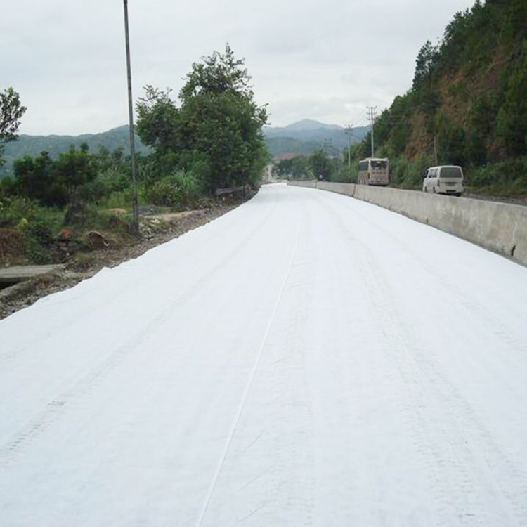 Permeable Geotextile For Dam Landfill Tunnel Slope Non Woven Fabric
