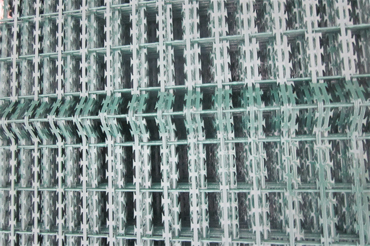 50X100mm 40X80mm Double Strand Razor Barbed Wire Fence Welded Razor Barbed Wire Mesh Fence