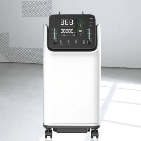 Portable Atomization Dual Use 10 L Oxygen Concentrator For The Elder