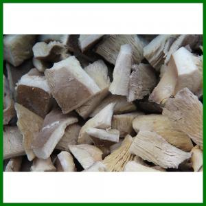 China IQF Frozen Oyster Mushroom Quarter(1/4) on sale