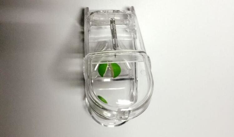 28 compartment column shape plastic pill storage box with pill crush box, Conventional eco-friendly 4 grids plastic trav