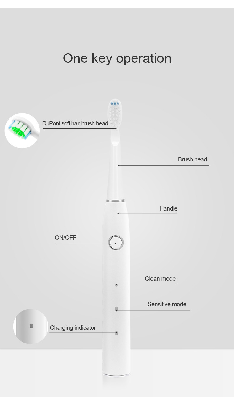 Slim Portable Sonic Automatic Toothbrush 500mAh Wear Resistant