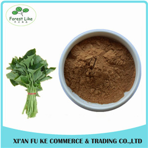 Organic Sweet Potato Leaf Extract Powder 10:1 for improve Hunman Immunity