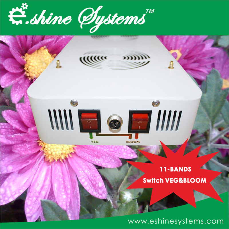 3G Diamond series LED grow light 11 bands 100x3W chips with lens switches for Veg & Bloom