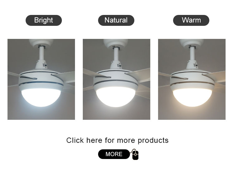 Power Source Electric 48 Inch Iron Blades Stainless Steel Ceiling Fan with LED Light