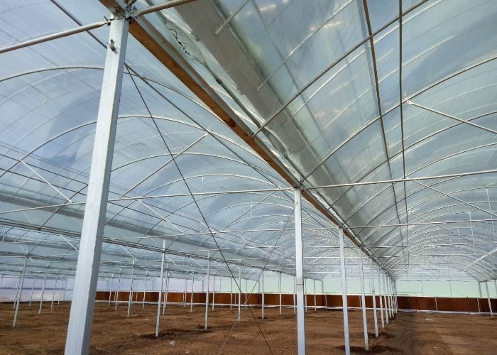 6 Foot 8 Foot Double Roof Arch Muliti Span Film Greenhouse Keep Warm For Tomatoes