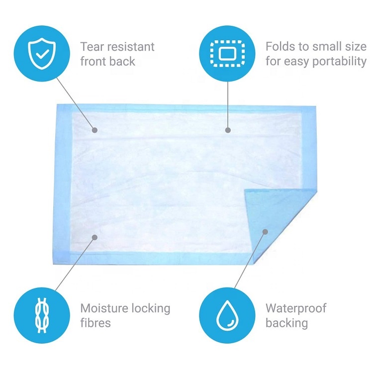 Customized Pet Potty Training Pads Core Incontinence Pet Pad for Training Dogs