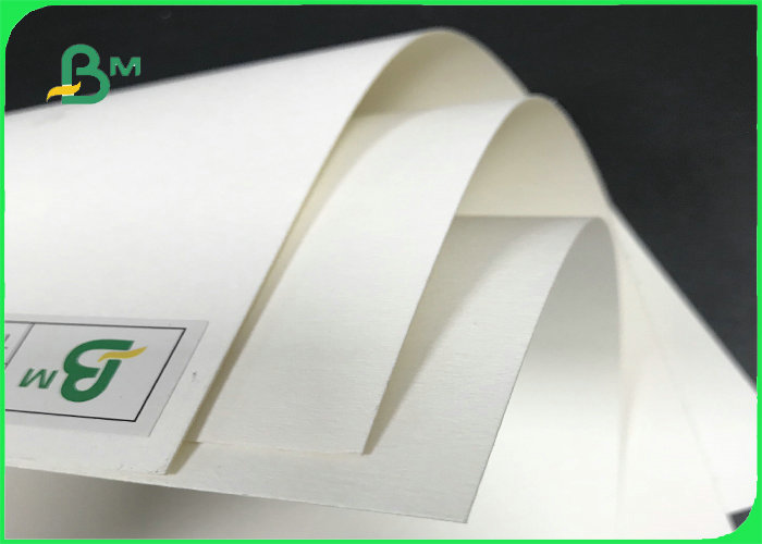 Absorbent paper 