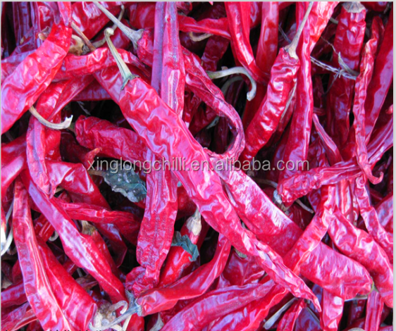 Long red Erjingtiao chili for fried chili rings