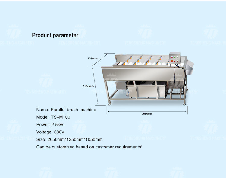 2.5KW Potato flat roller cleaning equipment seafood cleaning machine potato cleaning machine equipment
