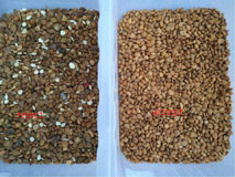 128 Channels Mini Nuts Sorting Machine , CE Approved almond sorter